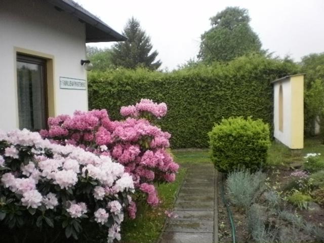 Privat Buk 100 Apartment Jindrichuv Hradec Bagian luar foto