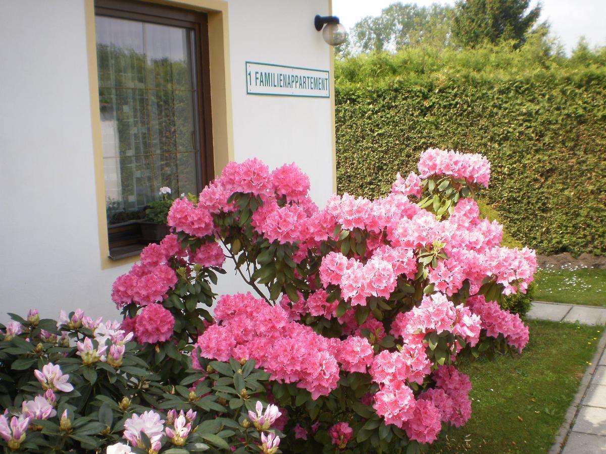 Privat Buk 100 Apartment Jindrichuv Hradec Bagian luar foto
